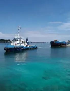 Shipping SELOG