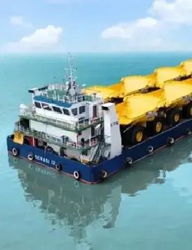 Project Cargo SELOG
